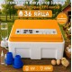 Инкубатор за 36 яйца с термоизолация и автоматично обръщане – 12V/220V