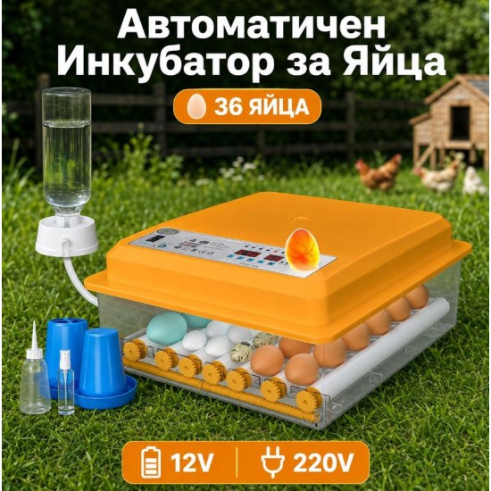 Автоматичен инкубатор за яйца – 36 яйца, 12V/220V