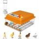 Автоматичен инкубатор за яйца – 36 яйца, 12V/220V