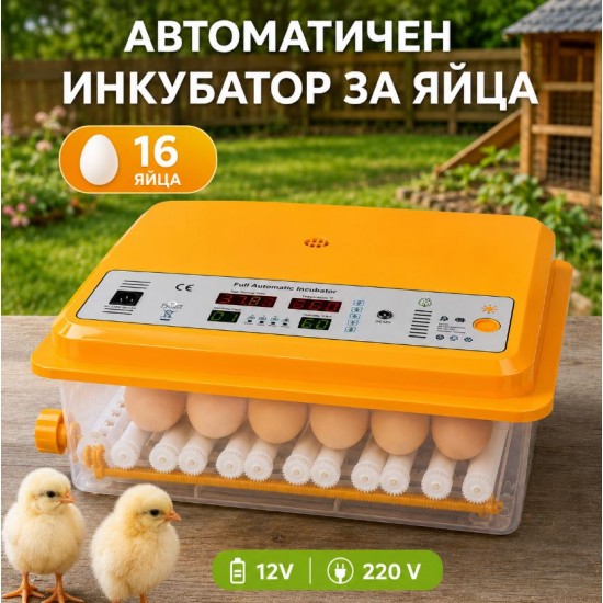 Автоматичен инкубатор за яйца, 16 яйца, 12V/220V
